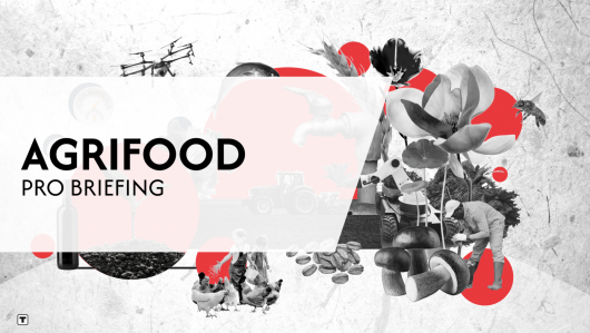 Agrifood Pro Briefing