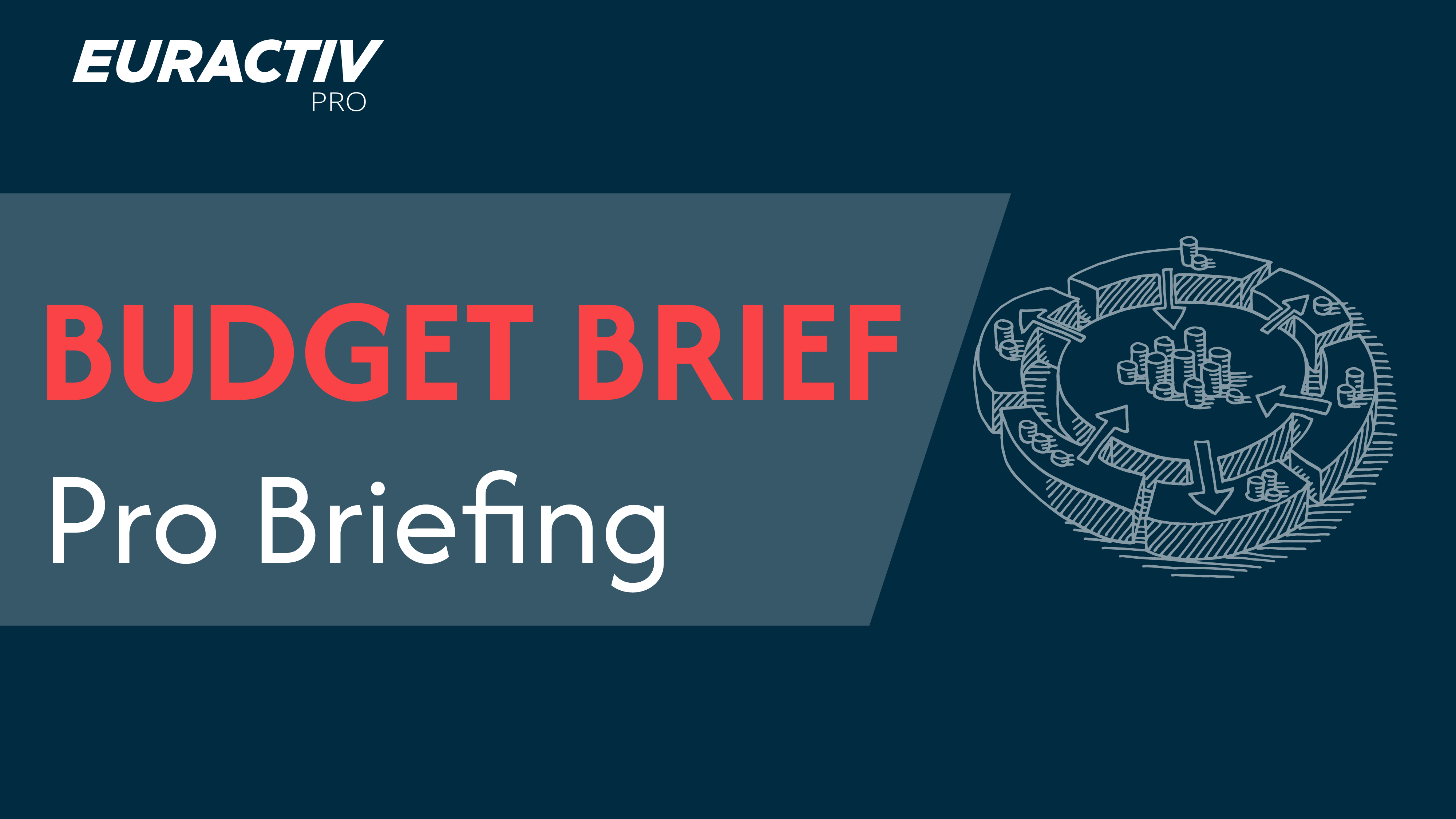 Euractiv Pro Briefing - BUDGET edition I