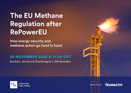 Media Partnership: The EU Methane Regulation after RePowerEU - How energy security and methane action go hand in hand