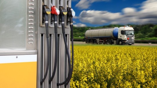 Fueling Change - Biodiesel and the future of sustainable transport in the EU