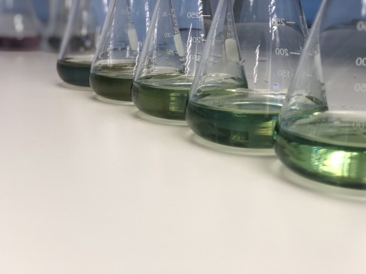 Delivering clean ammonia - Making EU climate and energy policy fit-for-purpose
