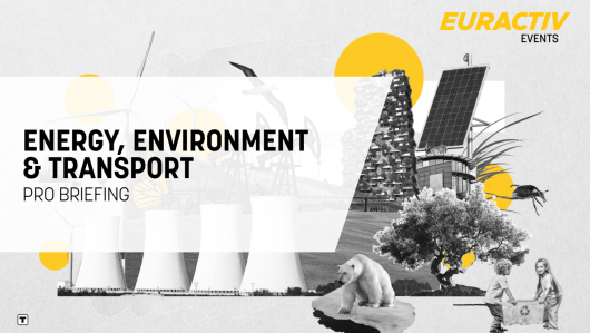 Euractiv Energy, Environment & Transport Pro Briefing 