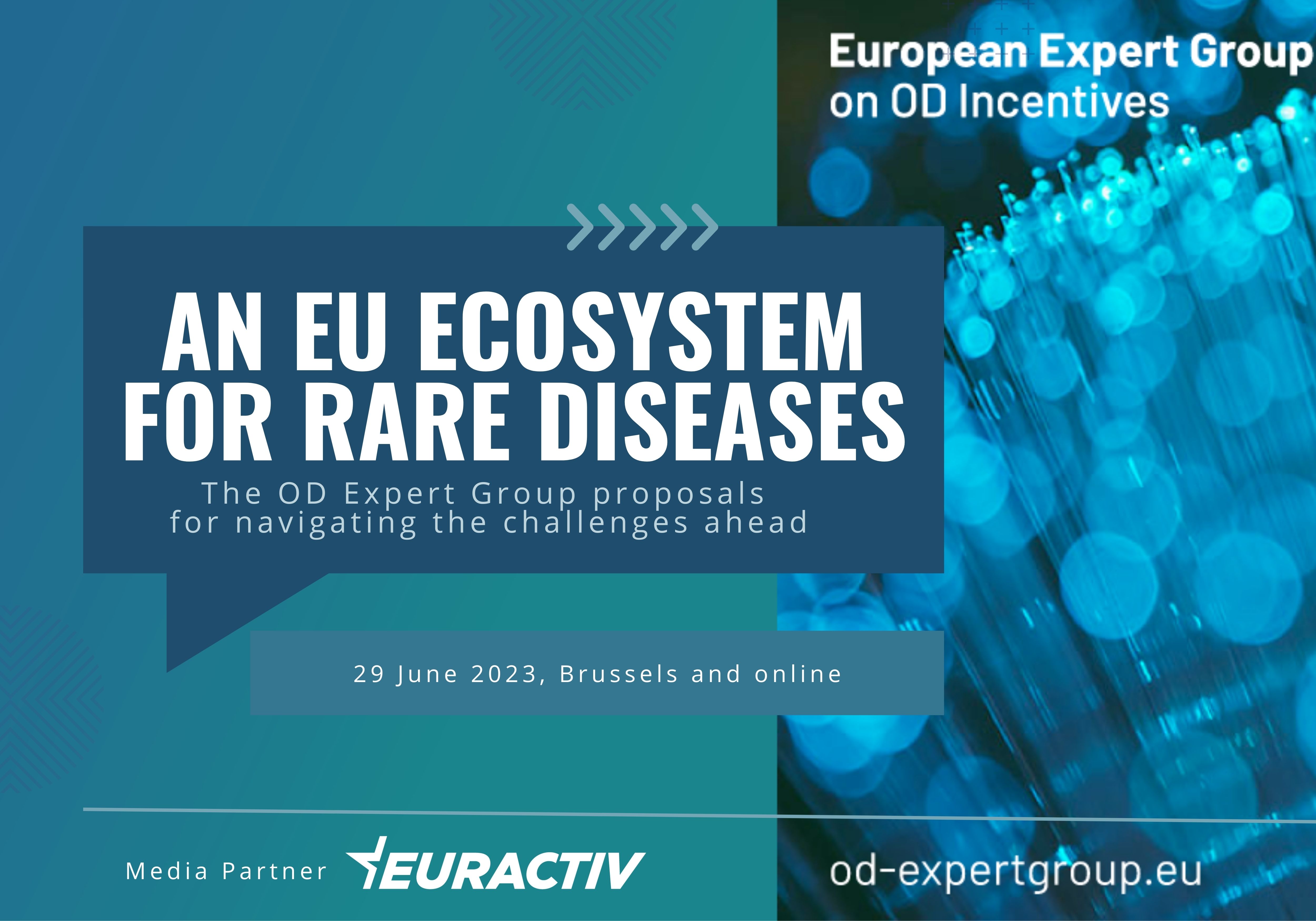 Media Partnership: An EU Ecosystem for Rare Diseases: The OD Expert Group proposals for navigating the challenges ahead 