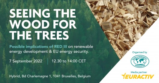 Media Partnership - Seeing the wood for the trees: Implications of RED III on renewable energy development & EU energy security
