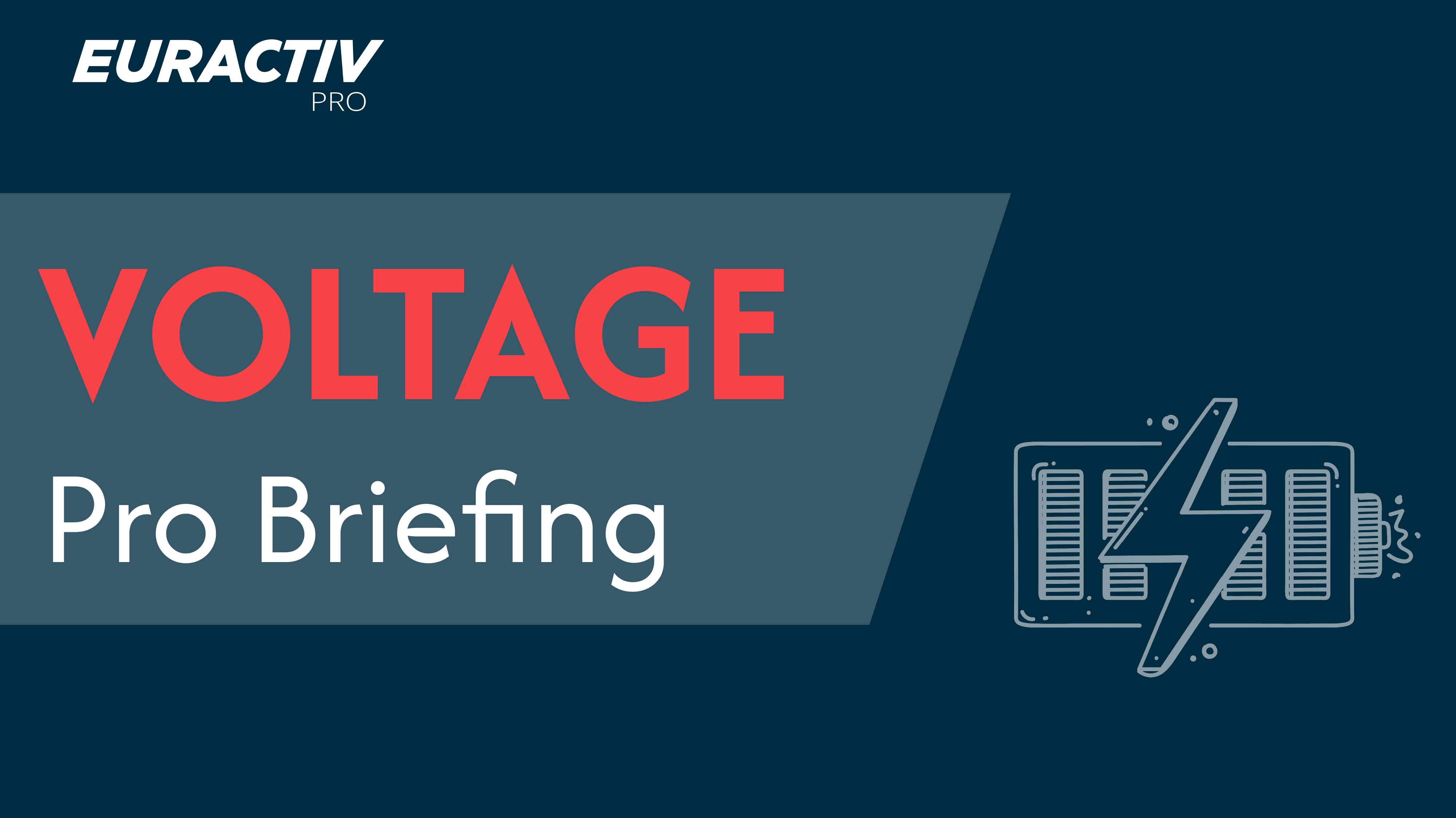 Euractiv Pro Briefing - VOLTAGE edition II