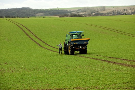 Reducing emissions  in agriculture: What solutions for a more sustainable  farming sector?