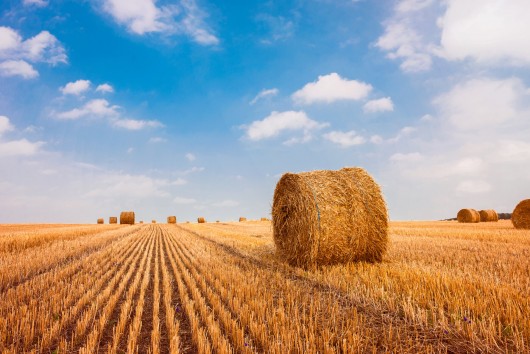 Quelle place pour le secteur agricole dans le plan de relance européen ?