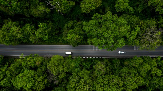Greening mobility: Are we acting fast enough?