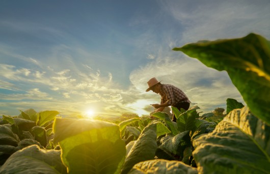 Integration von GAP und Green Deal - Die Zukunft nachhaltiger Landwirtschaft?