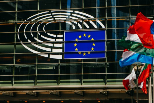 European Parliament Elections: What impact for EU sector policies? 