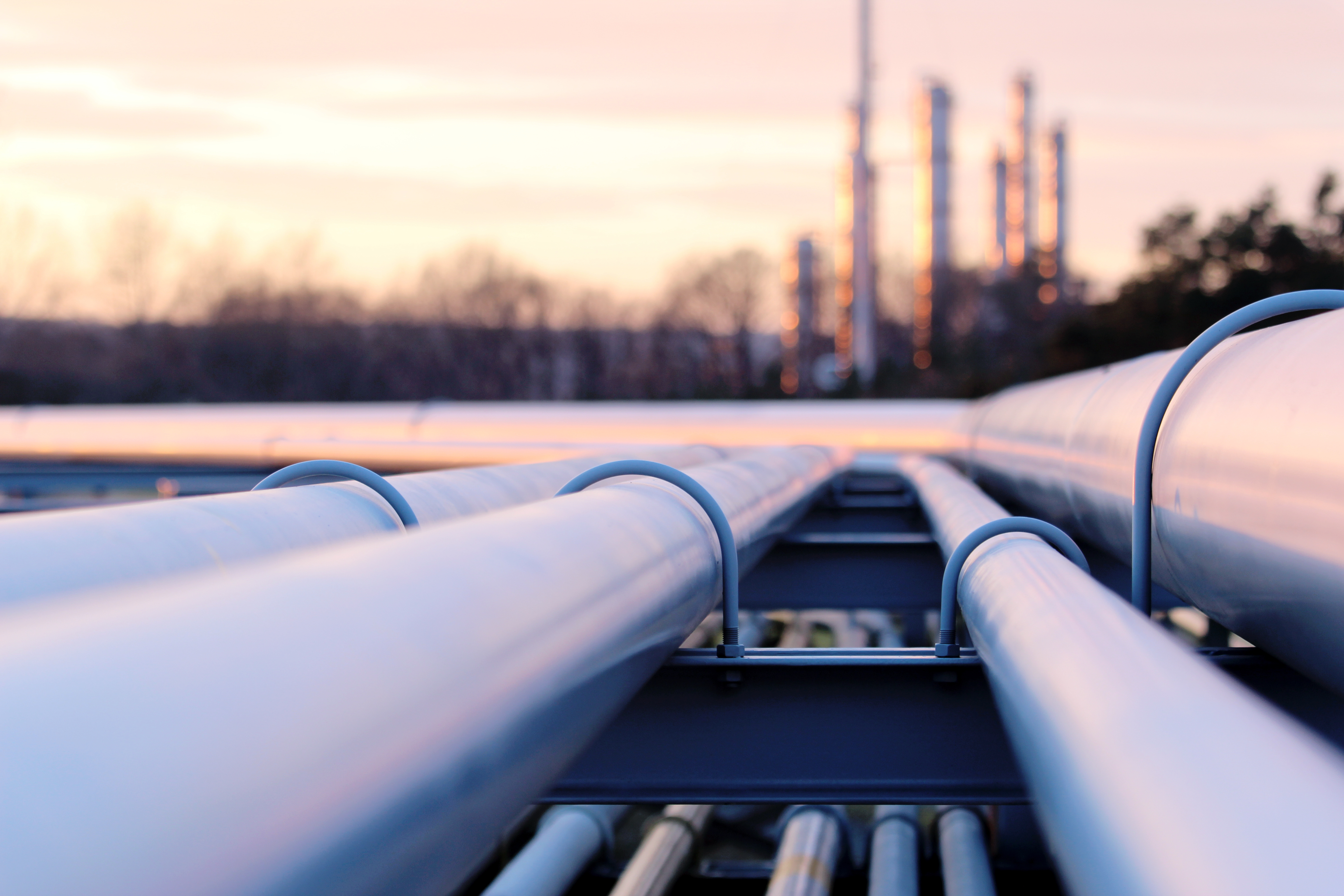 Reducing industrial fossil gas demand in Europe - What are the next steps?