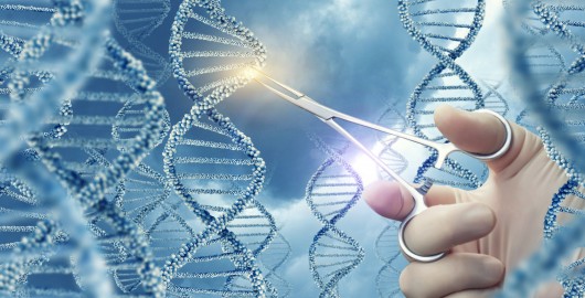EC study on new genomic techniques –  What’s next?