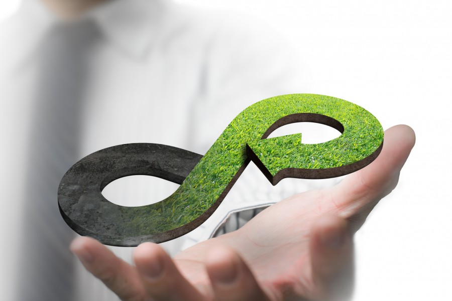 Packaging in the circular economy: A sustainable business? 